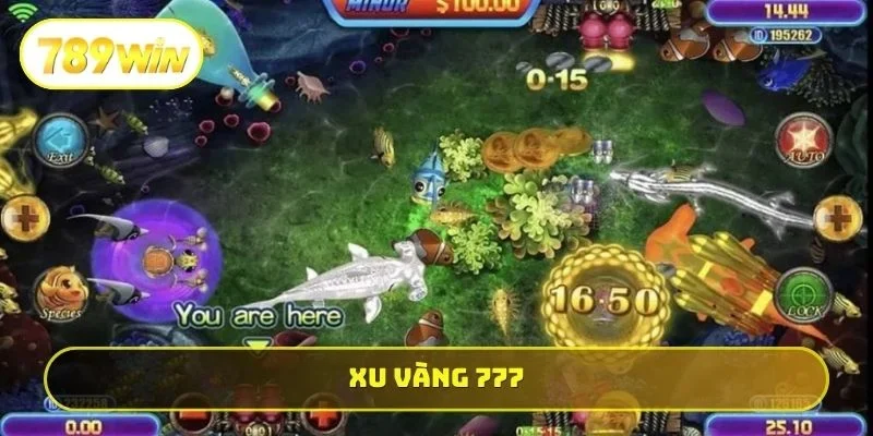 Xu Vàng 777